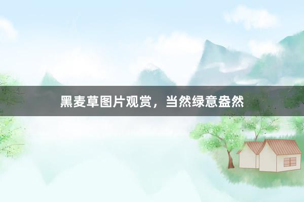 黑麦草图片观赏，当然绿意盎然