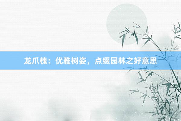 龙爪槐：优雅树姿，点缀园林之好意思