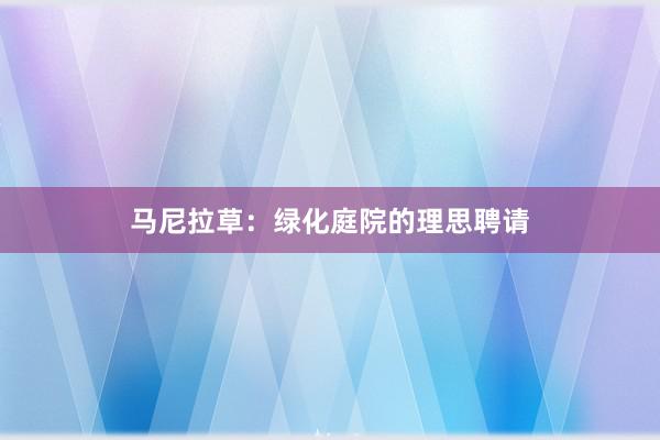 马尼拉草：绿化庭院的理思聘请