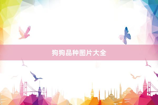 狗狗品种图片大全