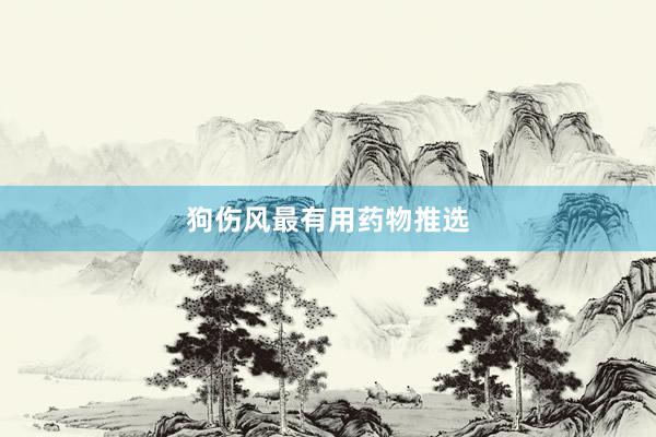 狗伤风最有用药物推选